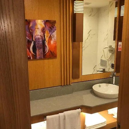 ماي وود فندق