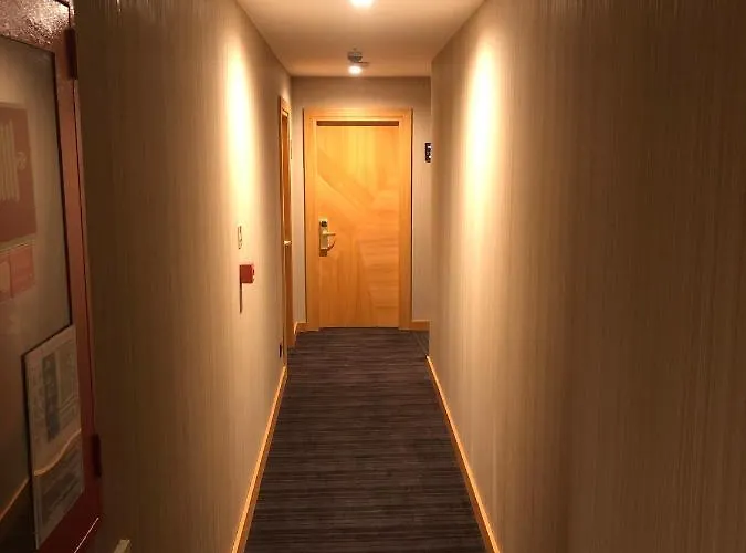 메이우드 이스탄불