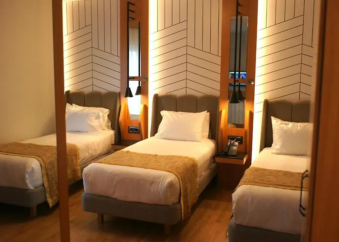 메이우드 호텔 4*